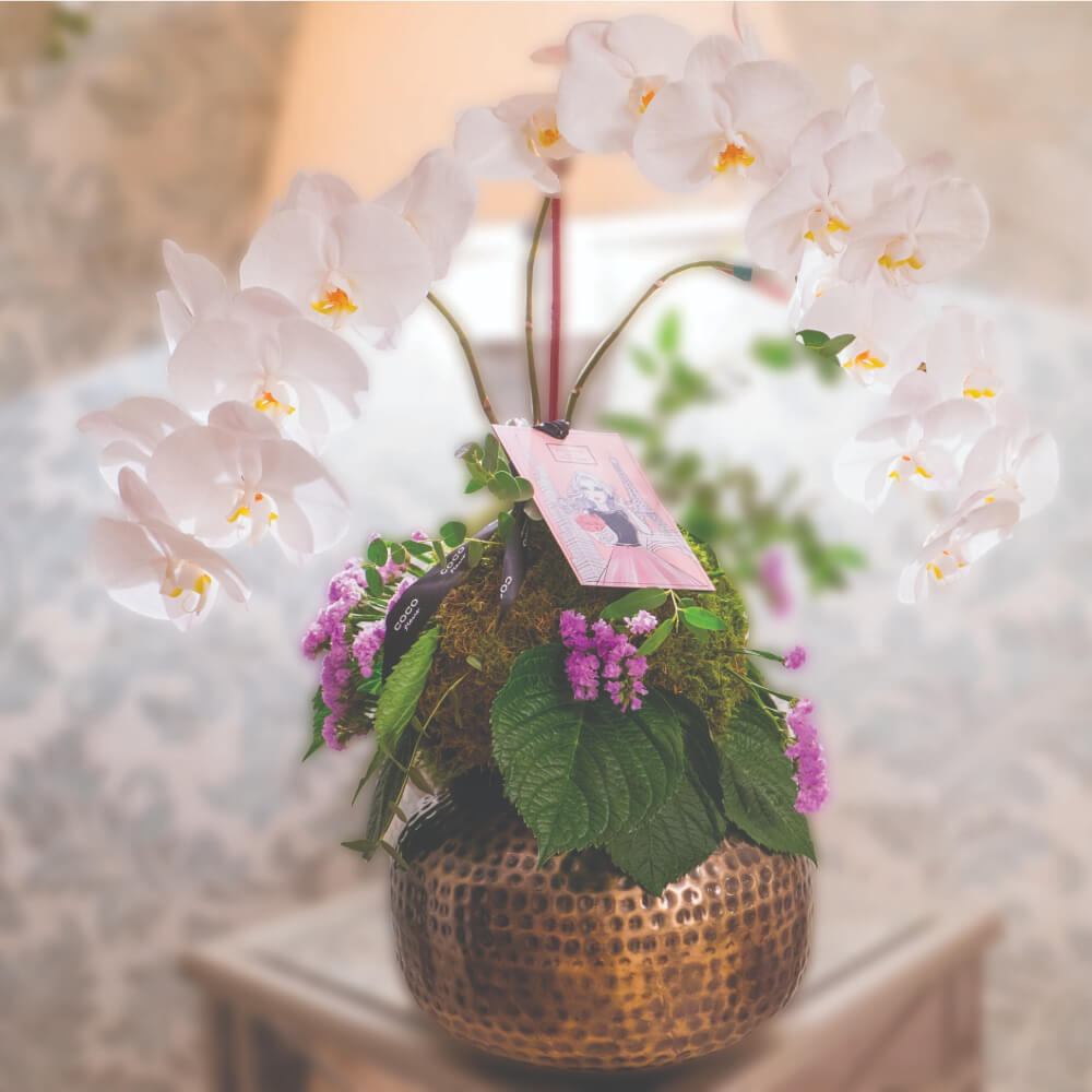 Product Shoot