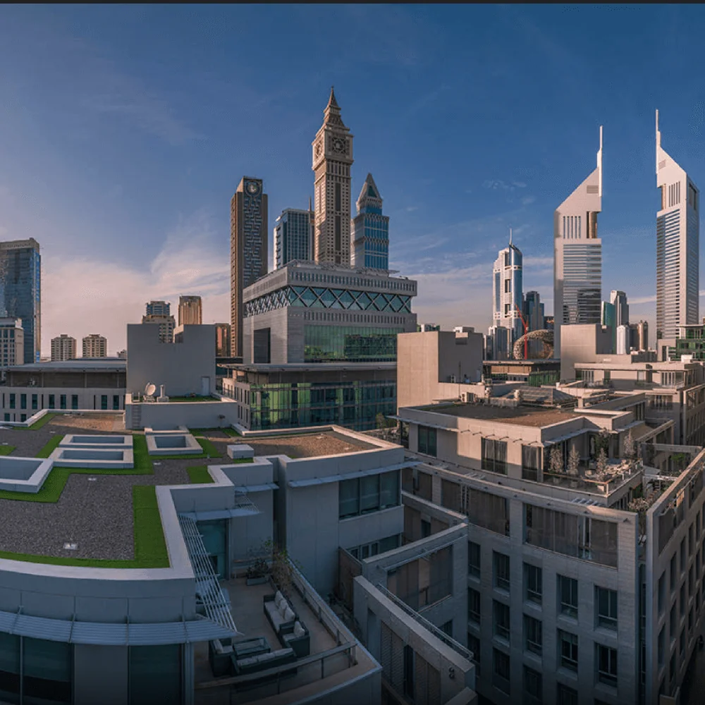 Project gallery image 8